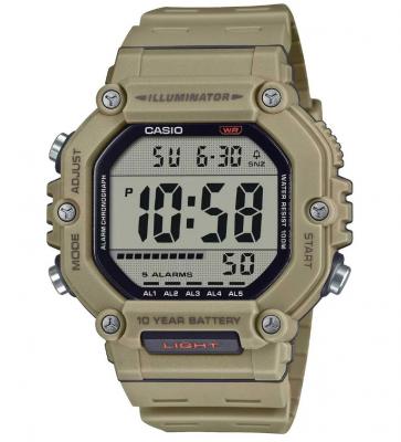 Часы наручные CASIO AE-1600H-5A