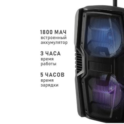 Портативная акустика NATIONAL NSM-V250***