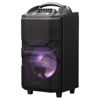 Портативная акустика NATIONAL NSM-V550***