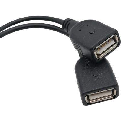 Удлинитель USB 2.0*2 по витой паре, H60