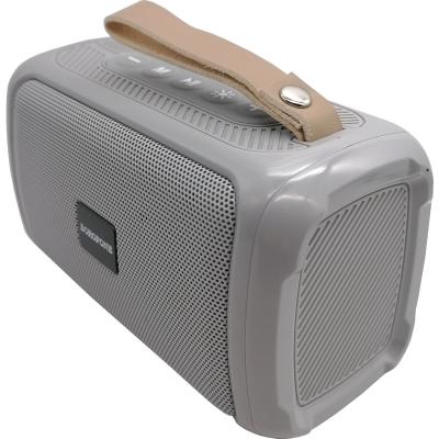 Активная колонка BOROFONE BR17 (FM/AUX/USB/microSD/BT/TWS), серый***