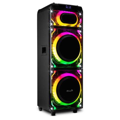 Активная колонка 20-22 SKILLETS BOX 2500, 2*10", от сети 220 V/акб 12V 7A