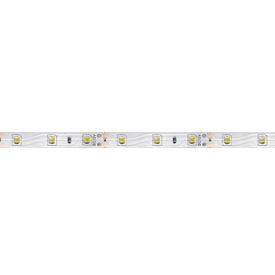 LED лента, 60SMD(2835)/m 4.8W/m 12V, IP20 5m, 6500K, LS603 /27603/