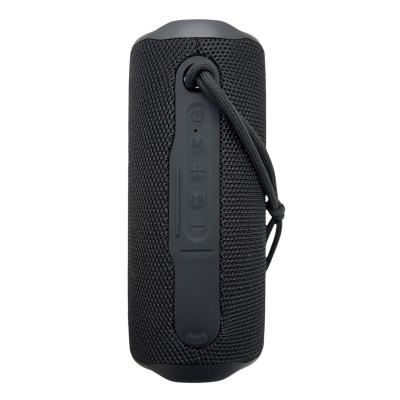 Активная колонка BOROFONE BR100 (FM/AUX/USB/microSD/BT/TWS), черный