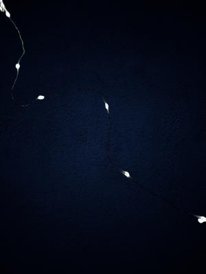 Гирлянда провол. 100м, 1000LED РОСА бел LX-620 пульт IP44+