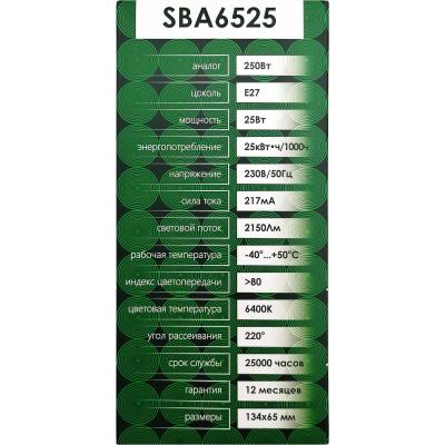 LED лампа A65/25W/6400/E27, SAFFIT /55089/