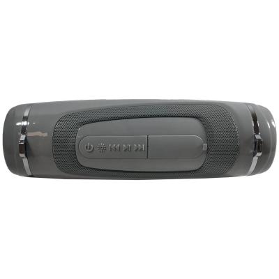 Активная колонка BOROFONE BR7 (FM/AUX/USB/microSD/BT/TWS/фонарь), серый***