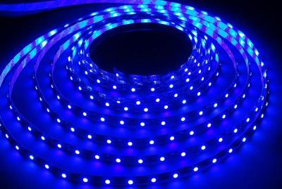 LED лента, 60SMD(2835)/m 4.8W/m 12V, IP20 5m, BLUE, SBL-IP20-4_8-Bl***