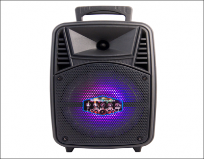 Активная колонка Magic Acoustic Bravo, TF/USB/BT/FM***