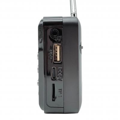 Радио Perfeo PALM, FM 87.5-108МГц, питание USB или 18650, черный