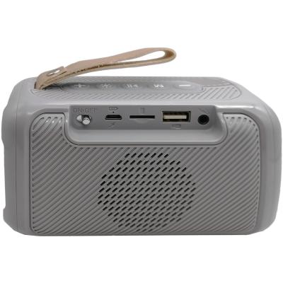 Активная колонка BOROFONE BR17 (FM/AUX/USB/microSD/BT/TWS), серый***