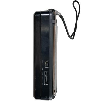 Радио Сигнал РП-221, DC 5V, акб, USB, microSD, дисплей
