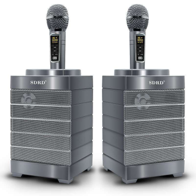 Караоке система SDRD SD-128 (30W, 2 микрофона) серый*** 