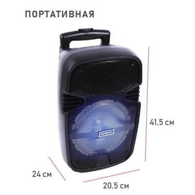 Портативная акустика NATIONAL NSM-V200***