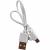Активная колонка BOROFONE BR7 (FM/AUX/USB/microSD/BT/TWS/фонарь), красный***