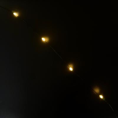 Гирлянда провол. 100м, 1000LED РОСА т.бел LX-619 пульт IP44+