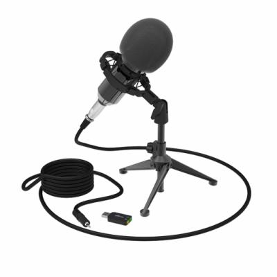 Микрофон RITMIX RDM-160 (jack 3.5 + USB-адаптер, на штативе) компьютерный
