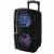 Портативная акустика NATIONAL NSM-V250***