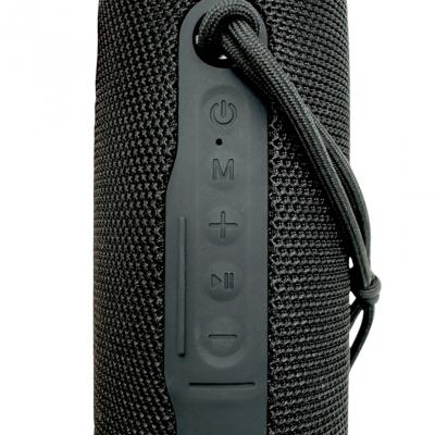Активная колонка BOROFONE BR100 (FM/AUX/USB/microSD/BT/TWS), черный