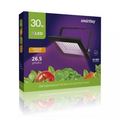 LED прожектор FL ФИТО Smartbuy-30W/1300K/IP65 (SBL-FLFITO-30-13K)