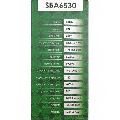 LED лампа A65/30W/4000/E27, SAFFIT /55183/
