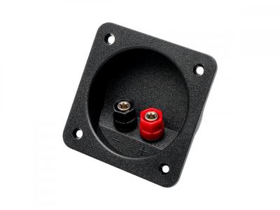 Аудиотерминал Aura WTB-168P