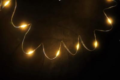 Гирлянда провол. серебр. 10м, 200LED, т.свет. Роса, 8 функций, Luca String Light /87426/