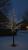 Дерево светящ  800L 180см, коричневый, теплый L-X-2
