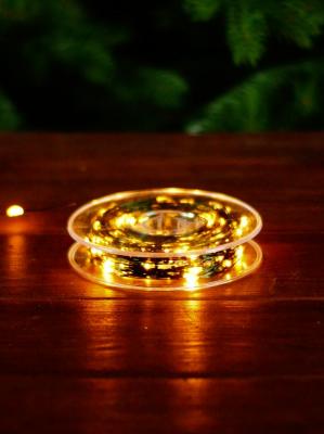 Гирлянда провол. 50м, 500LED, РОСА т.бел. З.П. LX-437 пульт