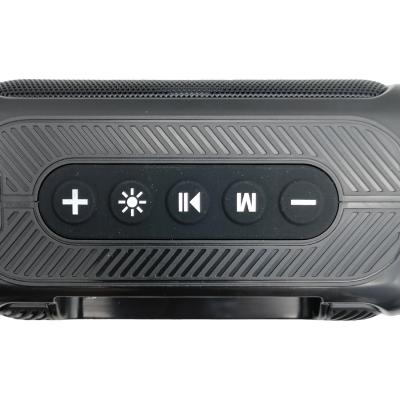 Активная колонка BOROFONE BR17 (FM/AUX/USB/microSD/BT/TWS), черный***