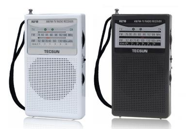 Радио TECSUN R218, белый