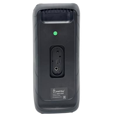 Активная колонка SmartBuy HUMA, 20 Ватт, MP3, FM-радио, BT, LED подсветка (SBS-5860)***