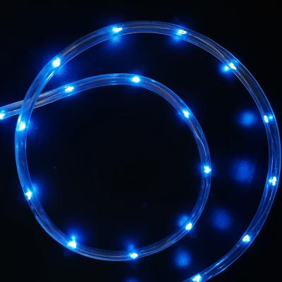 Гирлянда дюралайт, уличная, 10м, LED, син.