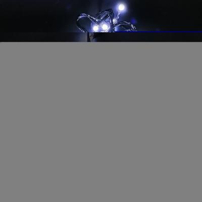Гирлянда рисинка, 5м, 100LED, белый, черный провод 