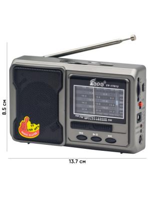 Радио EPE FP-1781U, серый