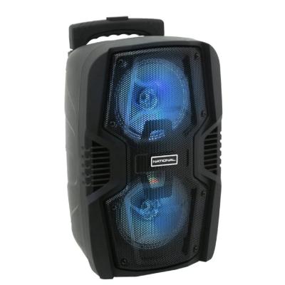 Портативная акустика NATIONAL NSM-V250***