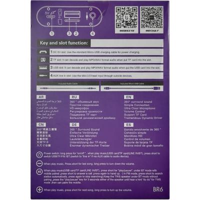 Активная колонка BOROFONE BR6 (FM/AUX/USB/microSD/BT/TWS), серый***
