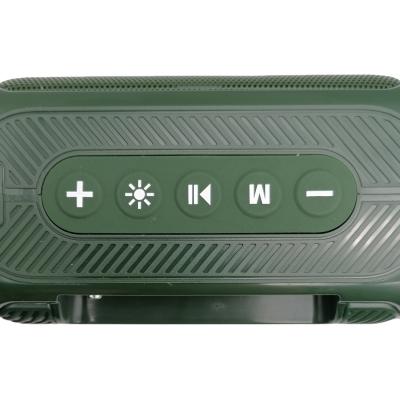 Активная колонка BOROFONE BR17 (FM/AUX/USB/microSD/BT/TWS), зеленый***