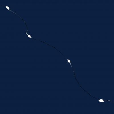 Гирлянда провол. 10м, 100LED РОСА бел LX-608