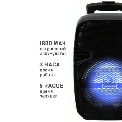 Портативная акустика NATIONAL NSM-V200***