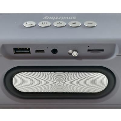 Активная колонка SmartBuy SATELLITE 2, 10Вт, Bluetooth, FM, MP3, подсветка, серая, SBS-460***