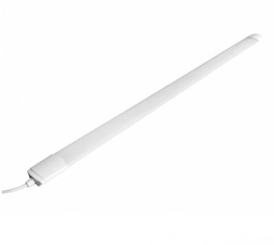 LED светильник (TP500s-36W-64K) Smartbuy-36W/6400K/IP65 матовый***