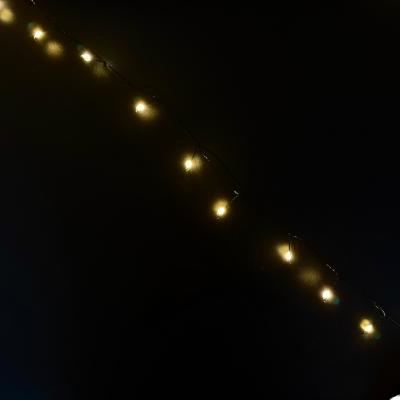 Гирлянда провол. 100м, 2000LED РОСА / МИШУРА т.бел LX-631 пульт IP44+