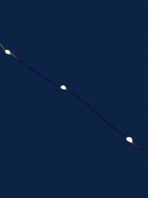 Гирлянда провол. 10м, 100LED РОСА т.бел LX-607