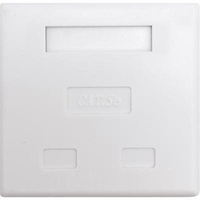 Розетка компьютерная AVS RJ-45 кат.5e внешняя, 2 порта