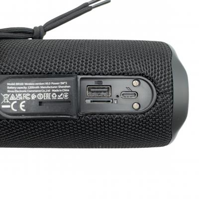 Активная колонка BOROFONE BR100 (FM/AUX/USB/microSD/BT/TWS), черный