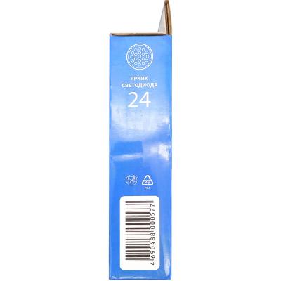 Фонарь кемпинговый КОСМОС Актив 3031LED (24LED,кругл.светильник) BL1
