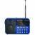 Радио Сигнал РП-224, DC 5V, акб, USB, microSD, дисплей